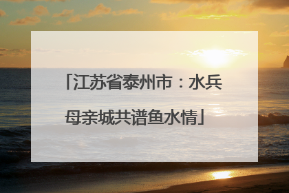 江苏省泰州市：水兵母亲城共谱鱼水情